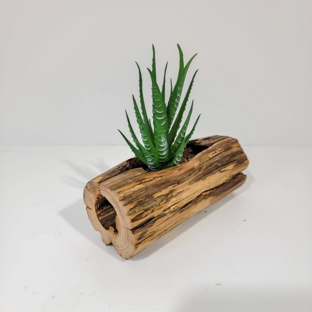 Natural Hollow Log Wood Display Stand for Air Plants Crystals Rustic Decor